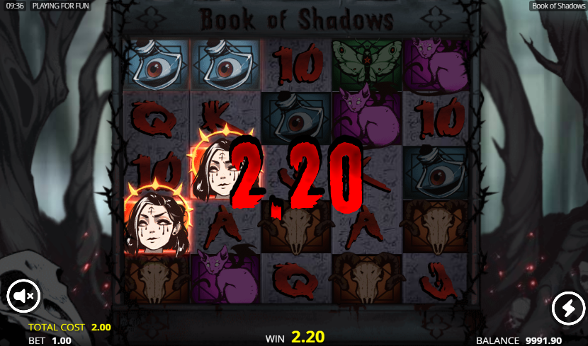 Book of Shadows graphics 2